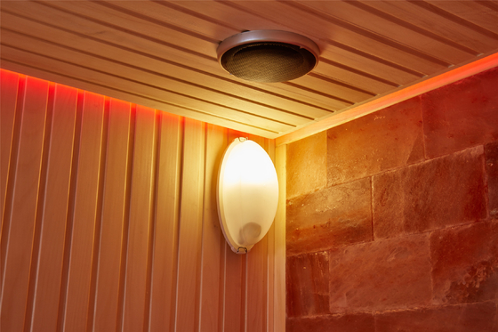 Sitio de lujo modificado para requisitos particulares Cedar Aspen Sauna Room rojo de madera interior del balneario de la sal de la piedra de la roca